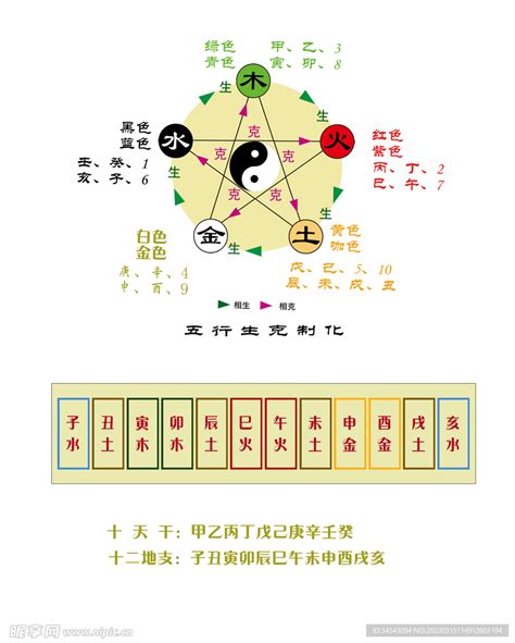 地支五行表|天干地支五行对照表图 阴阳五行